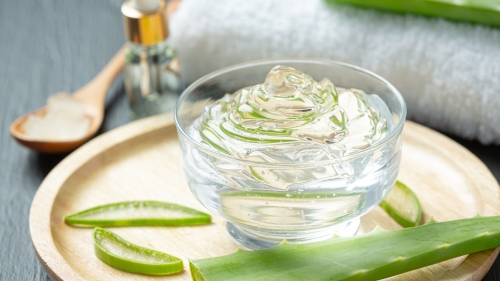 Beauty Advice: Aloe Vera’s Seasonal Advantages for Your Skin And Face